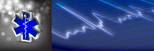 ems banner ems banner